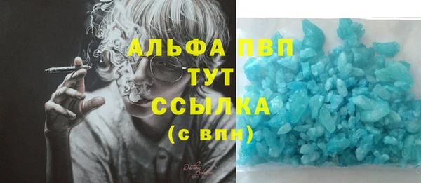 ешки Богданович