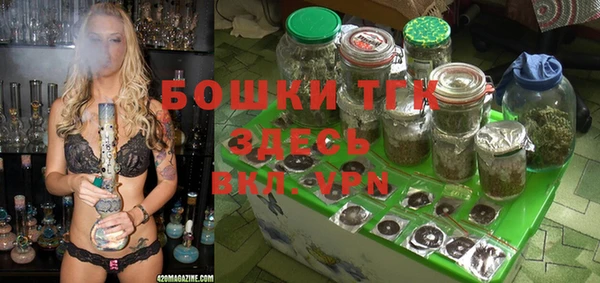 ешки Богданович
