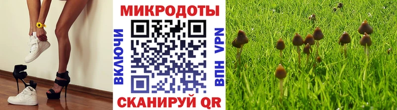 где продают наркотики  Туапсе  Галлюциногенные грибы MAGIC MUSHROOMS 